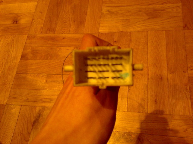 20100316385.jpg