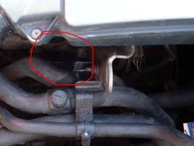 SDC10778.JPG