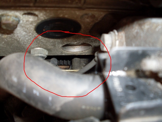 SDC10777.JPG