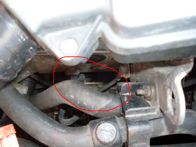 SDC10776.JPG