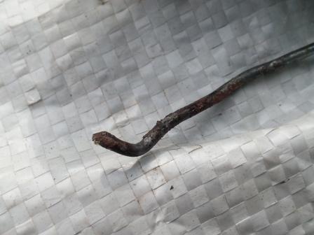 20150426_105545.jpg